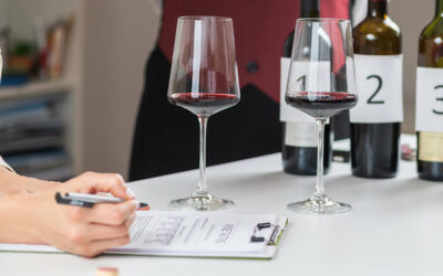 Etichetta vini mercato Europeo. Sei in regola?