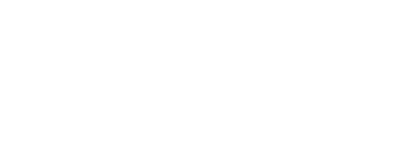 WIFO-logo-bianco